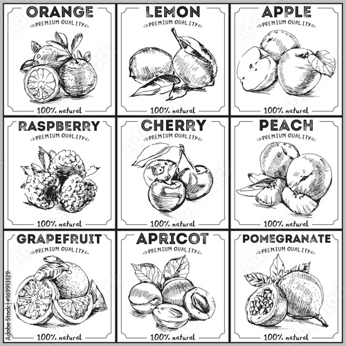 Eco food labels set. Hand drawn black sketch fruits. Farmers market logo. Fresh fruit vintage banner. Vector illustration 