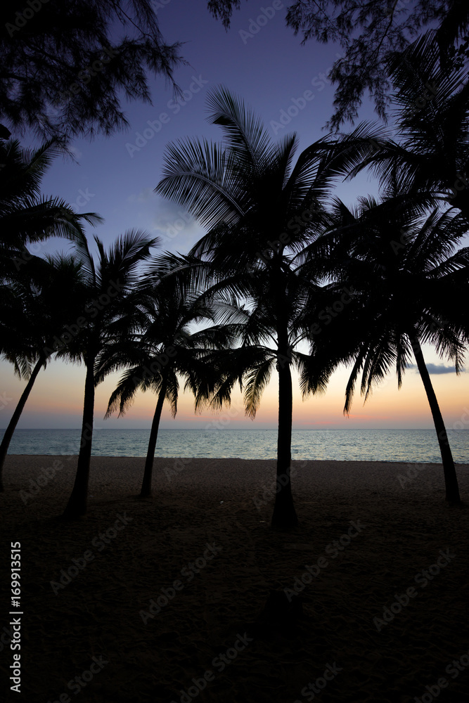 Tropical beach at sunrise Tropical beach at sunrise