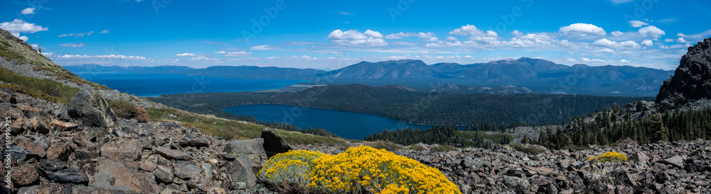 Yellow Flowers, Tahoe and Fallen Leaf Lakes