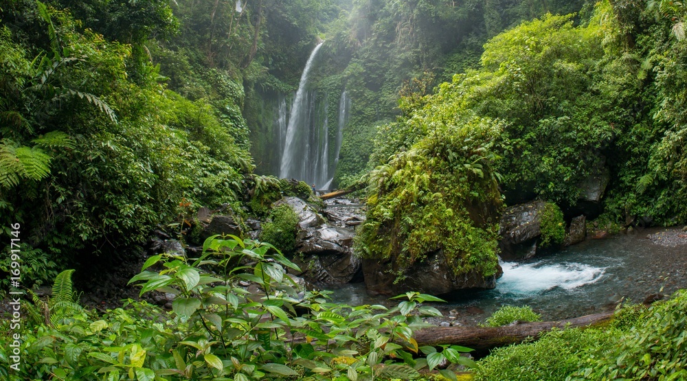 Fototapeta premium Wodospad Tiu Kelep w pobliżu wulkanu Rinjani, Lombok, Indonezja