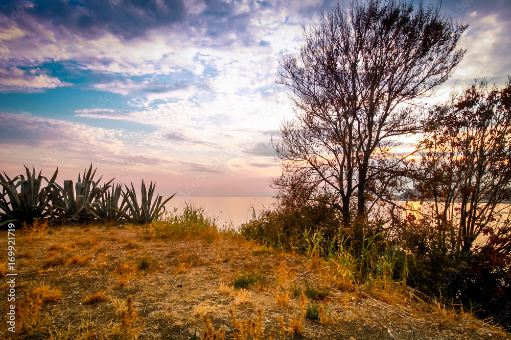 Beautiful autumn landscape by the sea side with trees silhouettes and yellow grass. Beautiful autumn landscape by the sea side with trees silhouettes and yellow grass.