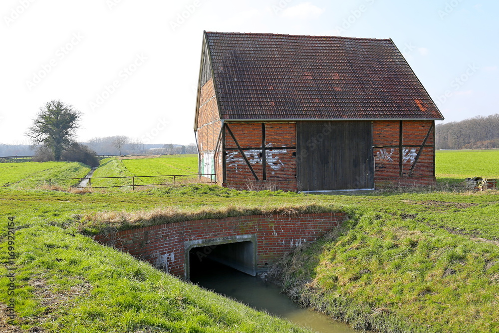 Obraz premium cottage meadow