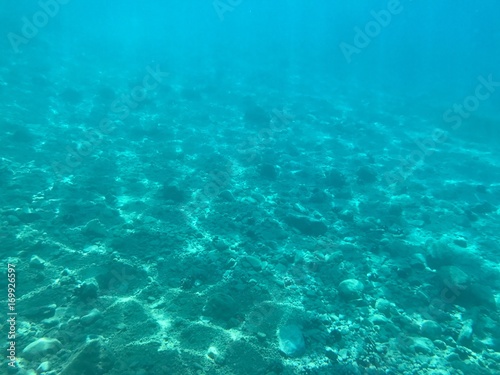Diving (Makarska)
