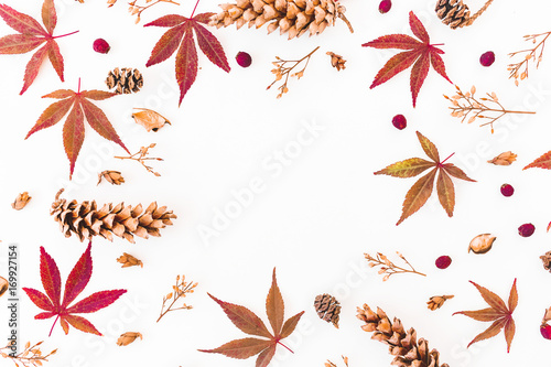 Round frame of autumn fall leaves  dried flowers and cones on white background. Flat lay  top view. Autumn concept