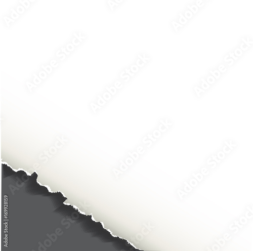 Realistic torn off corner of the paper sheet.