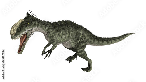 Dinosaur Monolophosaurus © photosvac