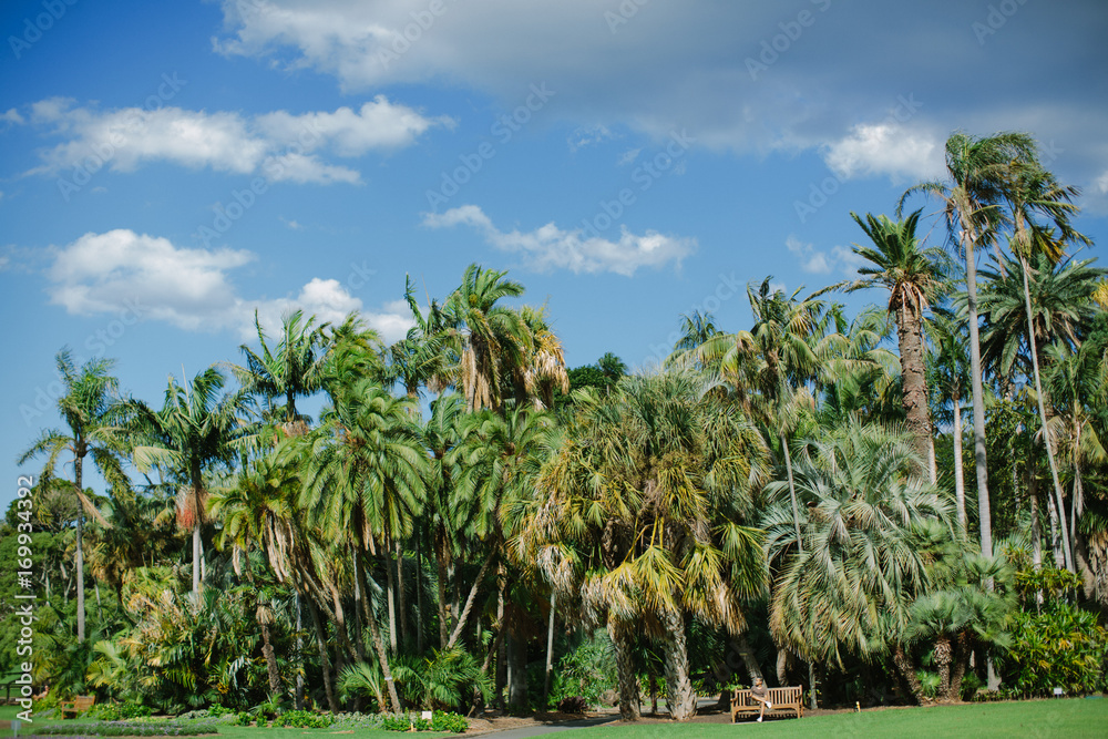 custom made wallpaper toronto digitalPalmen