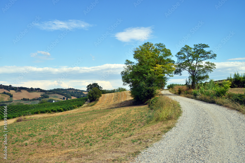 panorama del Monferrato, Piemonte, Italia