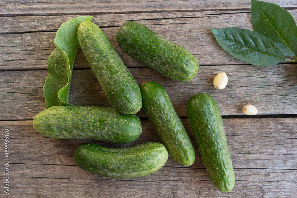 Dry dill with garlic cloves and green cucumbers for pickles on the wooden table Dry dill with garlic cloves and green cucumbers for pickles on the wooden table