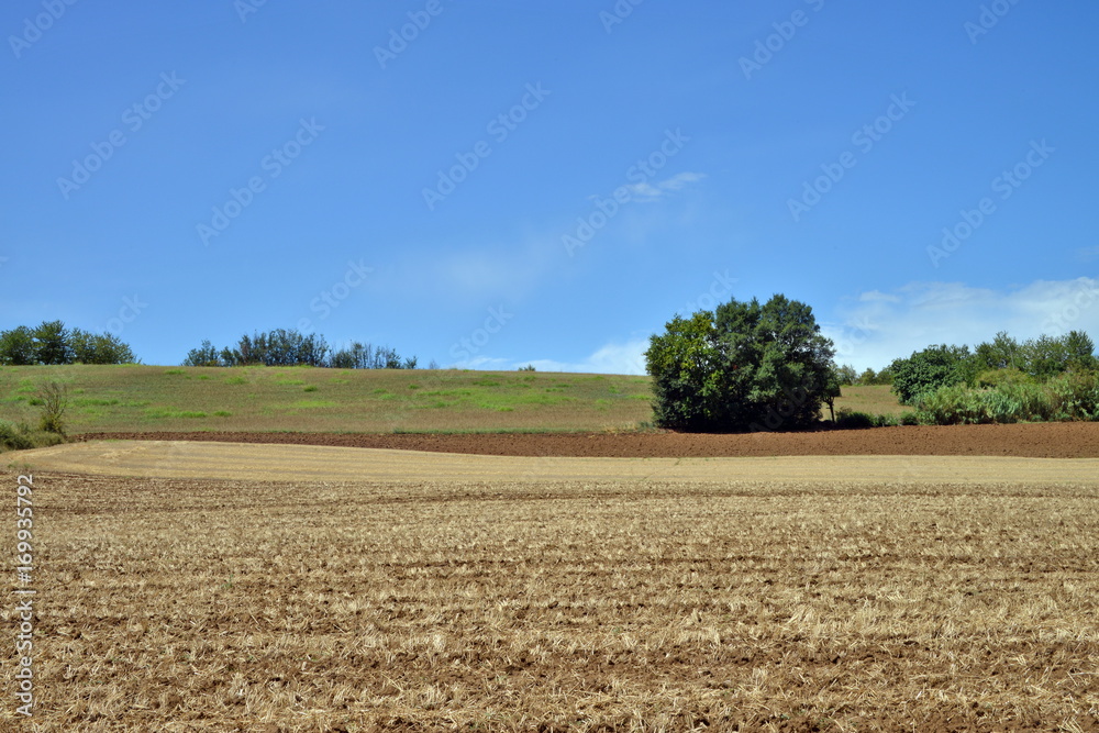 Fototapeta premium panorama del Monferrato, Piemonte, Italia