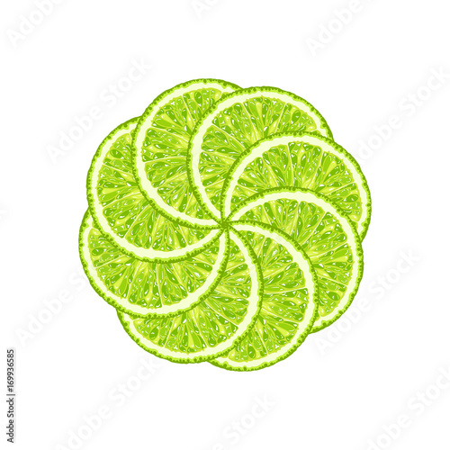 Vector illustration of round from lime slice. Citrus background