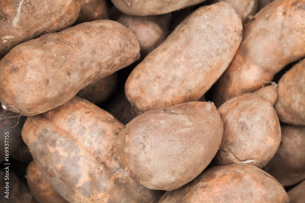 Sweet potato roots, close up photo Sweet potato roots, close up photo