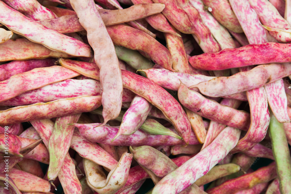 Red string beans lay on counter of food market Red string beans lay on counter of food market