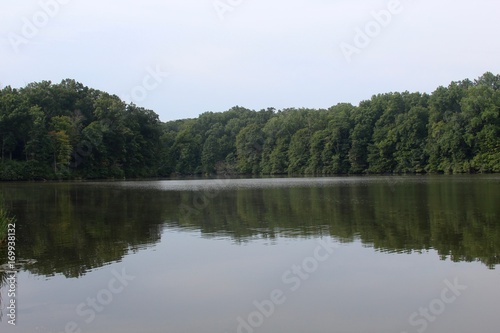 The trees reflecting off the lake water. © Al