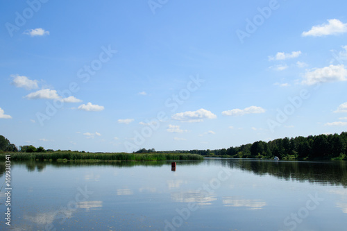 Calm minimalistic landscape with blue sky, red buoy and plants reflection in water