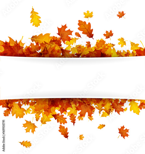 Autumn background with orange leaves.