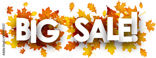 Autumn big sale banner with leaves.