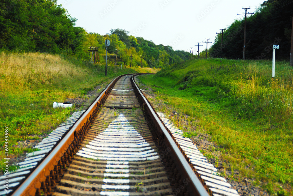 a railway in the spring forest a railway in the spring forest