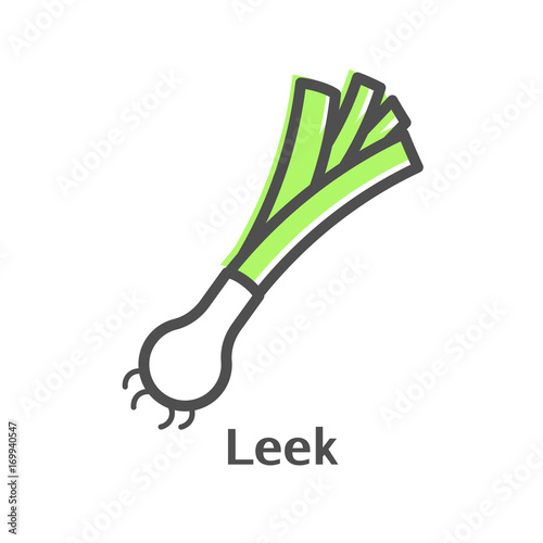 Leek color thin line vector icon. Isolated vegetable linear style for menu, label, logo. Detailed vegetarian food sign.