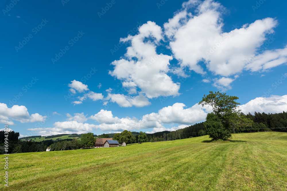 Typical German farm in the meadows of the Black Forest