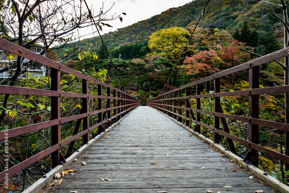 Suspension bridge, Kinugawa Onsen Japan