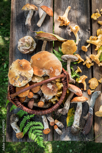 Tasty wild mushrooms straight from the forest