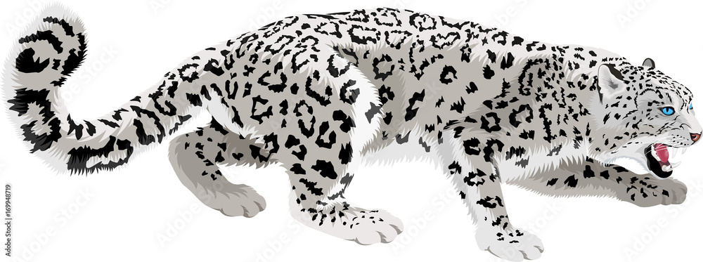 vector mountains snow leopard vector mountains snow leopard