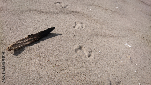 Spuren im Sand 01