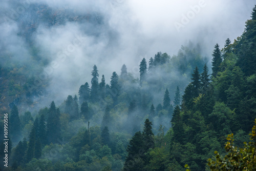 Mountain slopes landscape with fir trees in the fog in Svaneti, Georgia.