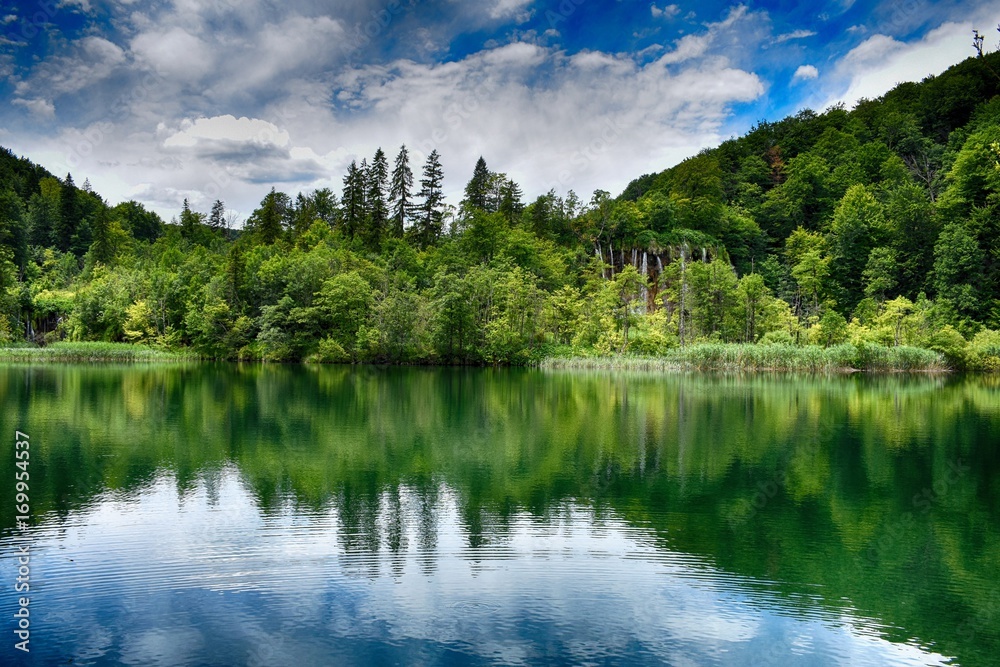 Obraz premium water reflection of trees on green beautiful lake 