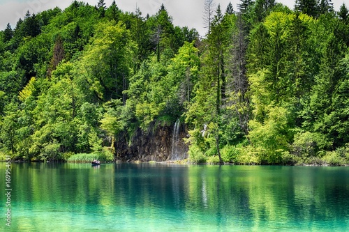 view on beautiful lake in forest trees around 