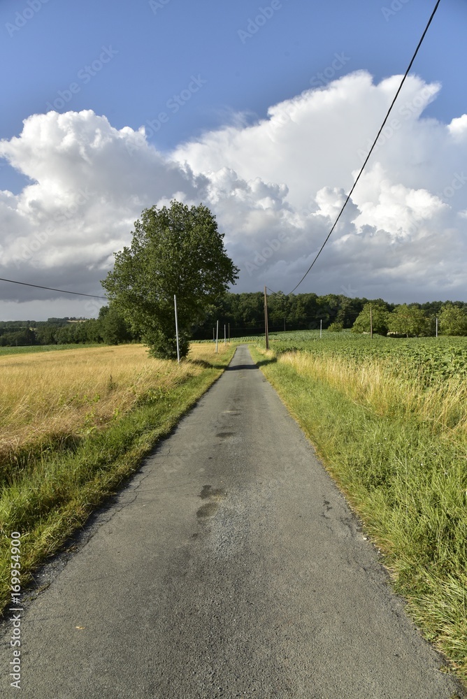 Petite route secondaire de campagne vers l'un des bois devant un nuage d'orage ,au Périgord Vert Petite route secondaire de campagne vers l'un des bois devant un nuage d'orage ,au Périgord Vert