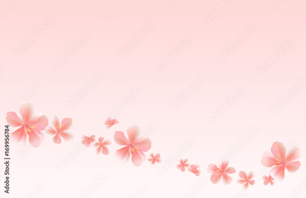 Flying Pink Sakura flowers isolated on Pink gradient background. Apple-tree flowers. Cherry blossom. Vector