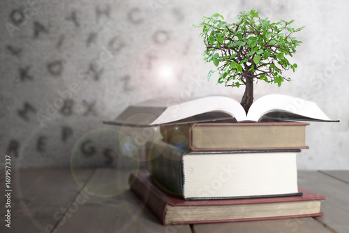 Open book with tree