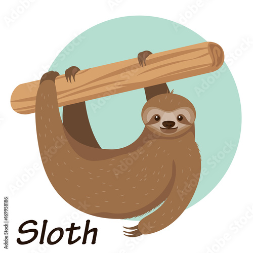 Cartoon sloth hanging on a branch vector illustration.