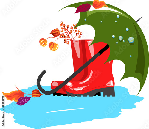 rubber boots.umbrella.autumn leaves