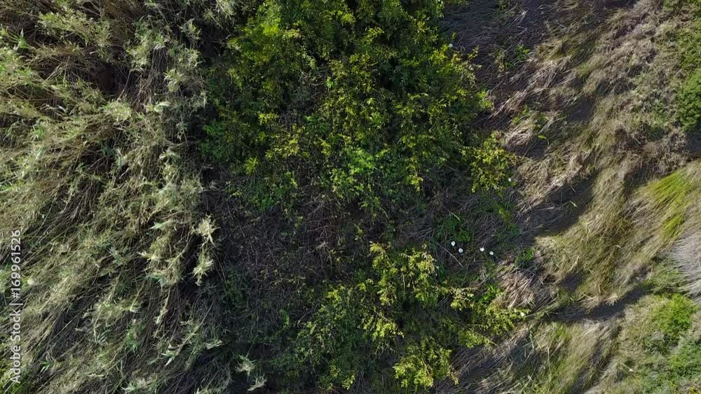 Aerial view over the forest of Southwest Alentejo Natural Park Aerial view over the forest of Southwest Alentejo Natural Park