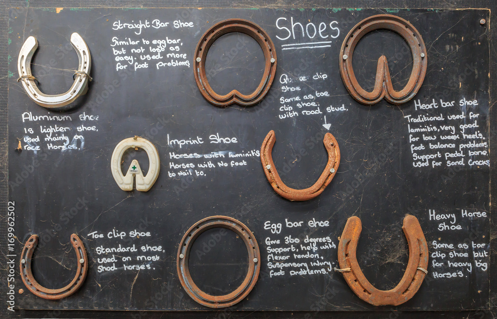 Set of different horseshoes with the explanation of their functions