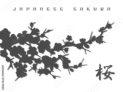 Monochromic japanese sakura silhouette and kanji background, vector illustration