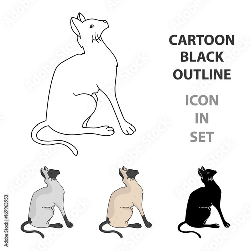 Siamese icon in cartoon style isolated on white background. Cat breeds symbol stock vector illustration.
