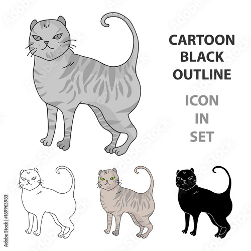 British Shorthair icon in cartoon style isolated on white background. Cat breeds symbol stock vector illustration.