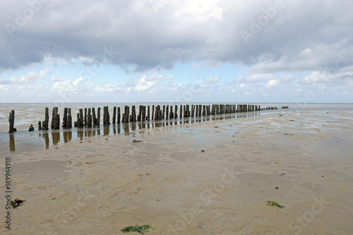 Wadden Sea area