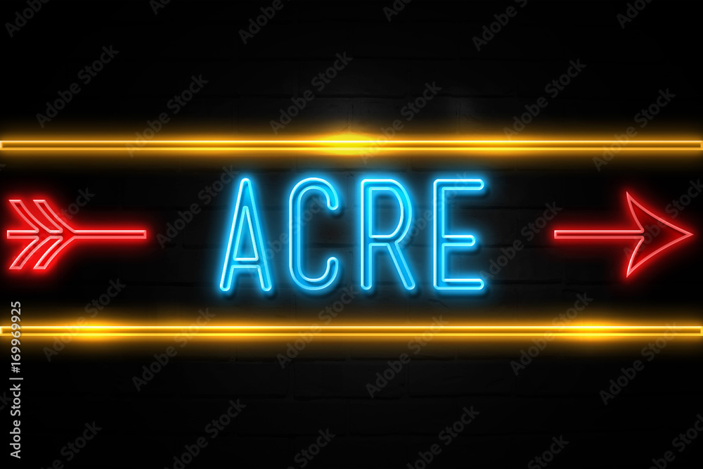Fototapeta premium Acre - fluorescent Neon Sign on brickwall Front view