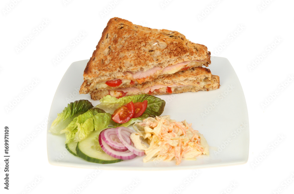 Toasted sandwich salad and coleslaw