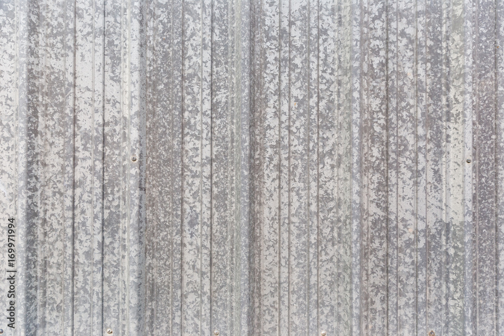 Obraz premium Texture of Metal Siding