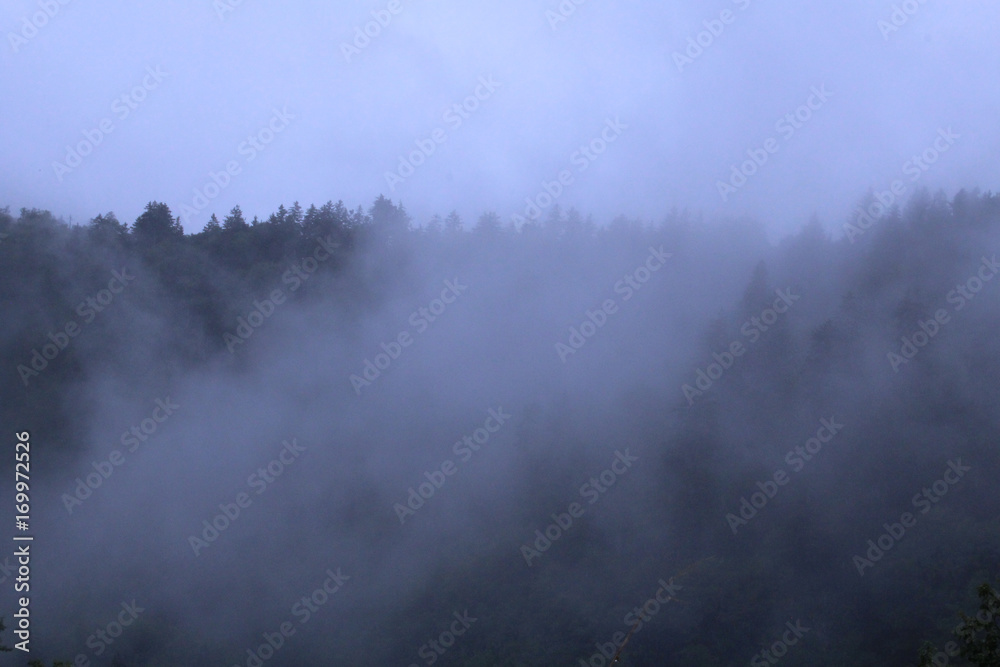 Mountains Covered in Heavy Fog and Mist