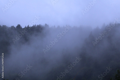 Mountains Covered in Heavy Fog and Mist