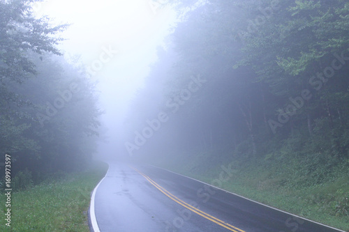 Road in the Tennessee Smokey Mountains with Heavy Fog