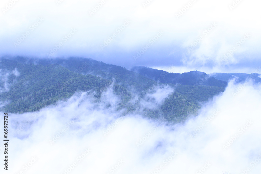 Smokey Mountains Covered with Fog, Mist, Steam, and Heavy Clouds