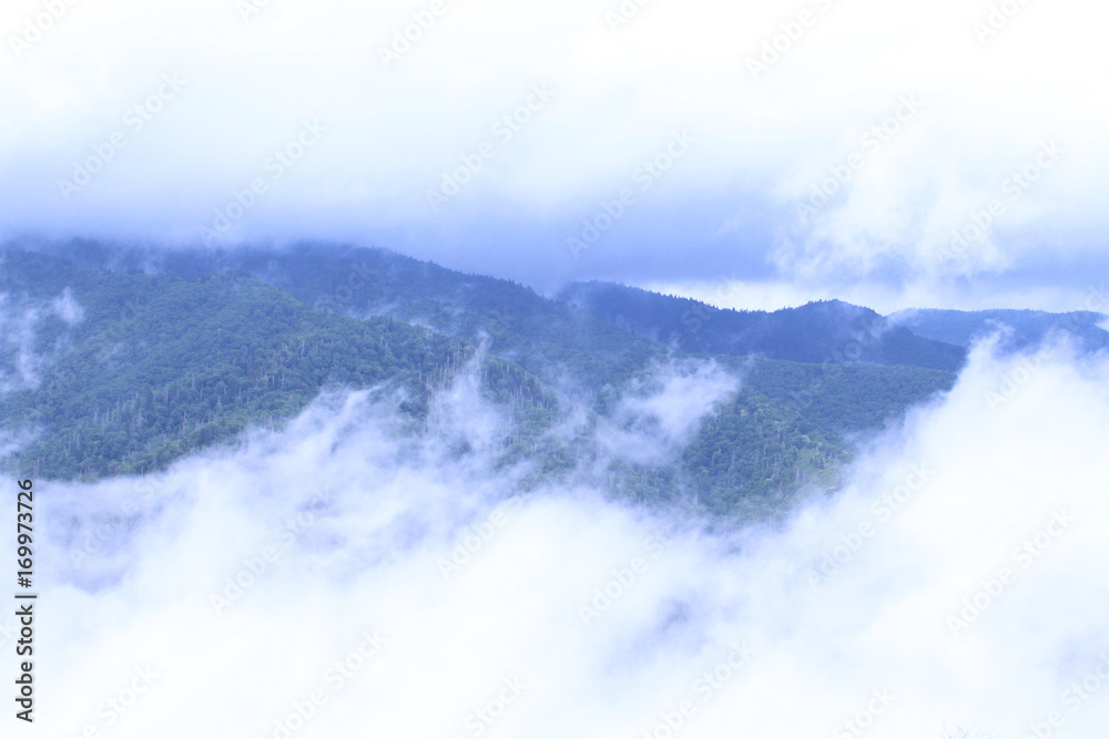 Smokey Mountains Covered with Fog, Mist, Steam, and Heavy Clouds Smokey Mountains Covered with Fog, Mist, Steam, and Heavy Clouds